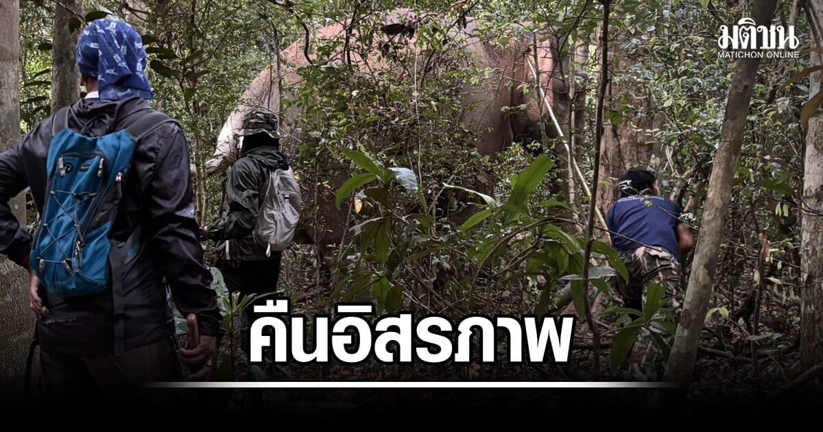 มิชชั่นเสร็จสิ้น! 'สีดอไลก้า' ปลดล็อกอิสรภาพจากปลอกคอ GPS หลังครบภารกิจ